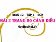 Bài 2 trang 80 Toán 12 tập 1 Cánh Diều